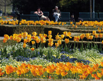 Kurpark in Bad Füssing